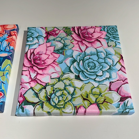 Colorful Succulents Pictures - Picture 3 of 3